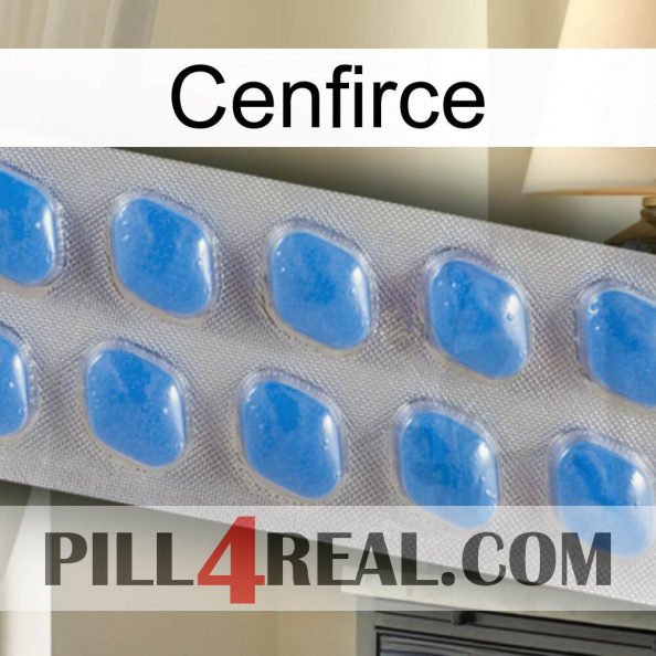 Cenfirce 22.jpg